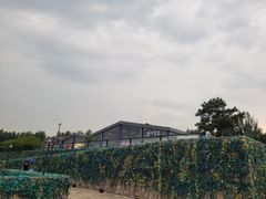-莫子山公园