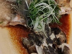-大树头·花园餐厅(市桥店)