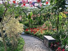 -南宫五洲植物乐园