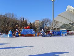 -沈阳奥体冰雪嘉年华