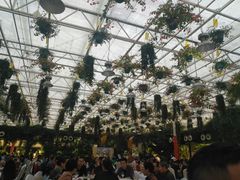 -天宫南铂玫瑰园酒店