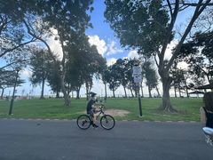 -东海岸人工湖美食村