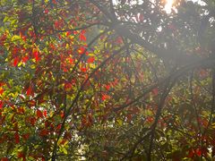 -浙江万里学院(钱湖校区)