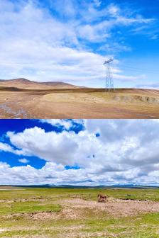 可可西里藏羚羊观景台-"没到过几片草原,一定写不出这么66615(l.