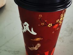 -这儿没有猫·猫咖萌宠馆·撸猫