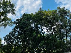 -人民公园(罗湖区)