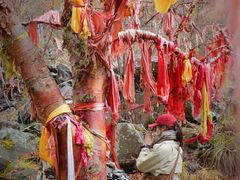 -叠溪松坪沟景区