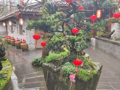 -青城甲(青城山店)