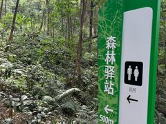 -广州市帽峰山景区