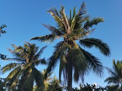 -香香海南菜餐厅