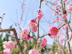 -颐和园