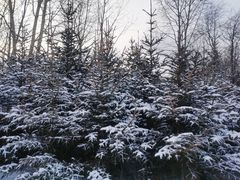 -北极村旅游风景区