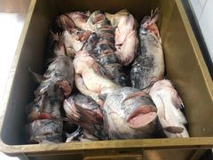 -满兴咱妈烀饼铁锅炖(兰州北街店)