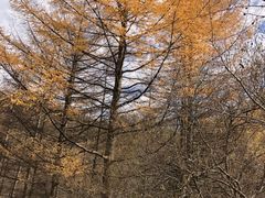 -秦岭风景区