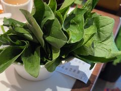 -涿派·炝锅鱼(涿州店)