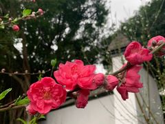 -乌山风景区