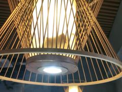 -探窝·竹笙椰子鸡(杨箕店)