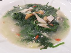 上汤桑叶-百合海鲜酒楼(白云东平店)