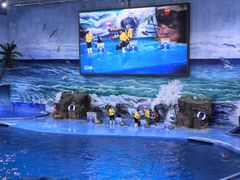 -多彩贵州城极地海洋世界