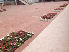 -厦门市蔡塘学校