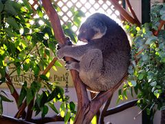 -费瑟代尔野生动物园