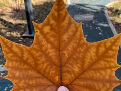 -桐爷小馆(广渠门店)