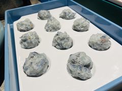 -1718海鲜姿造(苏宁宴请臻选店)