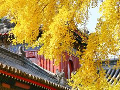 -承恩寺
