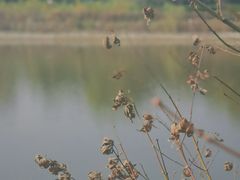 -西安汉城湖景区