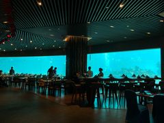 -海棠湾洲际-涛·海底餐厅·美人鱼·自助餐·海底隧道