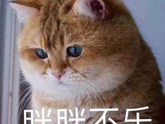 -汉阴白火石汆汤