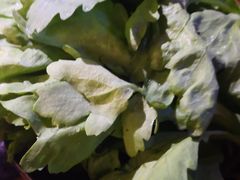 -渡娘火锅(大兴大悦春风里店)