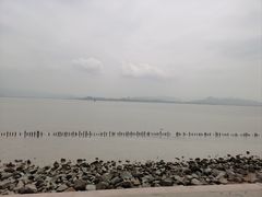 -深圳湾公园(南山区)