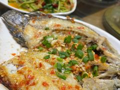 -晓雯人家