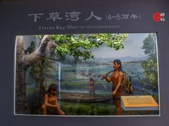 -泗洪洪泽湖湿地景区