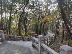 -灵岩山风景区