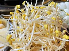 豆芽菜-渝味黄姐火锅(黄泥村店)