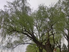 -长春市南湖公园