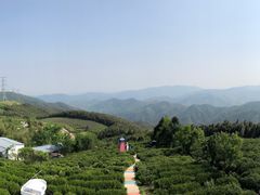 -莫干山风景区