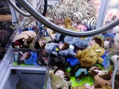 -PAWTOY爪e玩偶店(天兴罗斯福店)