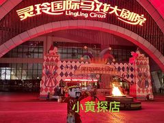 -灵玲国际马戏城