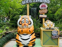 -上海野生动物园