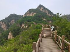 -大岭沟猕猴桃谷风景区