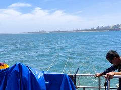 -日照世帆赛基地