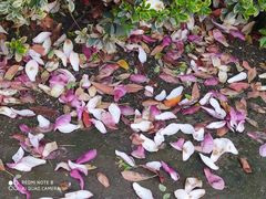 -上海总工会黄浦区工人体育馆-停车场