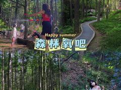 -洛阳白云山景区