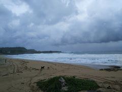 -白沙湾海滩