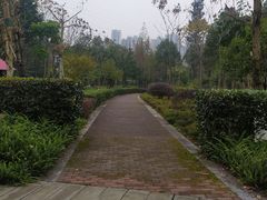 -重庆彩云湖湿地公园