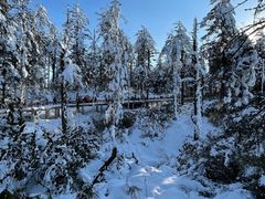 -瓦屋山景区
