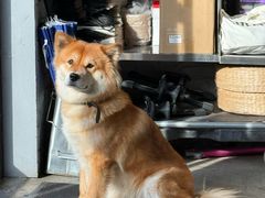 -CENCHI 汵奇咖啡(东四店)